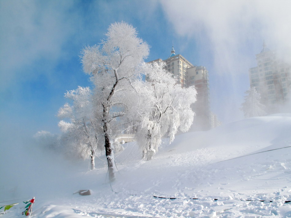 Snow-coated island draws crowds