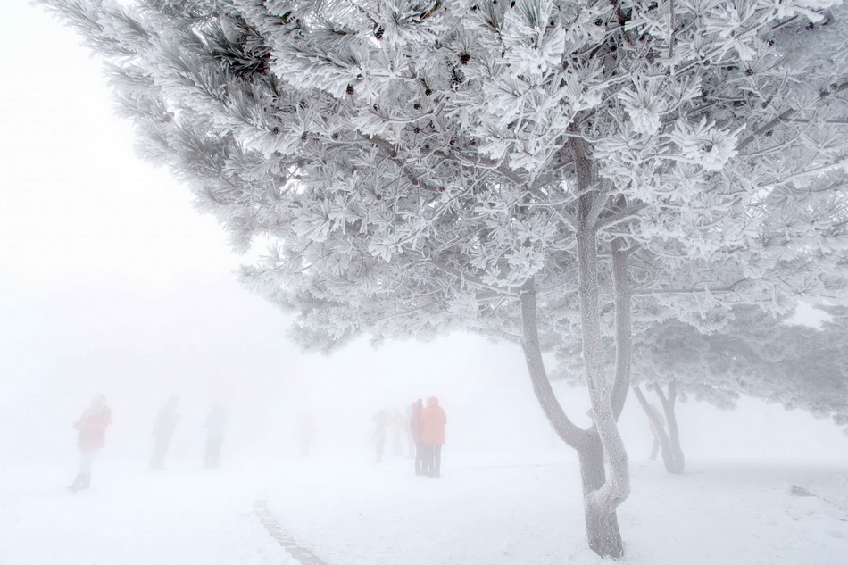 Snow-coated island draws crowds