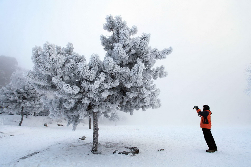 Snow-coated island draws crowds