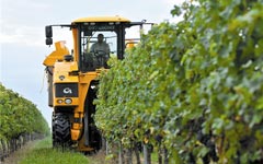 China, EU reach agreement in wine dispute