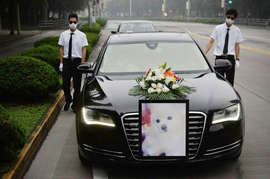 Funeral service puts deceased pets to rest with style