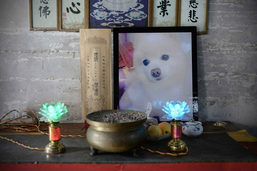 Funeral service puts deceased pets to rest with style