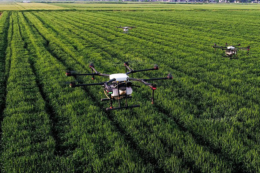 Drones drive intelligent agriculture