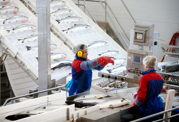 Norway eyes seafood exports to China