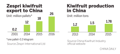 NZ firm mulls growing kiwifruit in Northwest China's Shaanxi