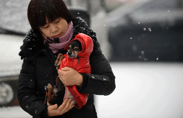 Beijing covered in snow