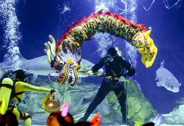 Aquarium show in Beijing