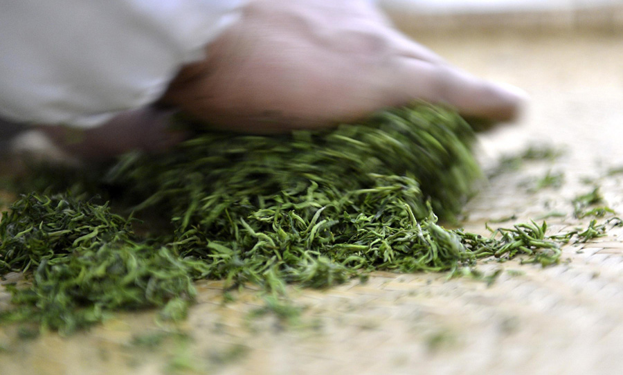 Making of Wujiatai tea from C China