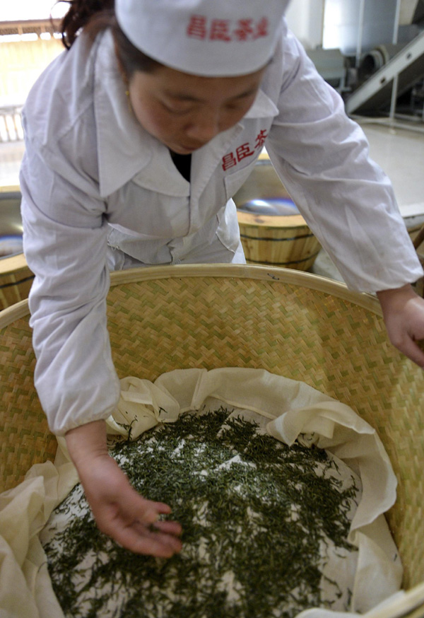 Making of Wujiatai tea from C China