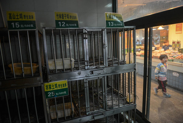Poultry cages lay empty in H7N9 crackdown