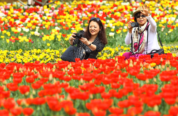 Floral fun in tulip festival