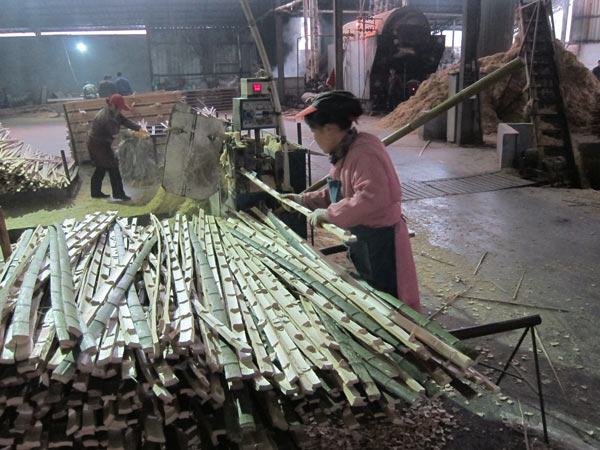 Rural bamboo business thriving