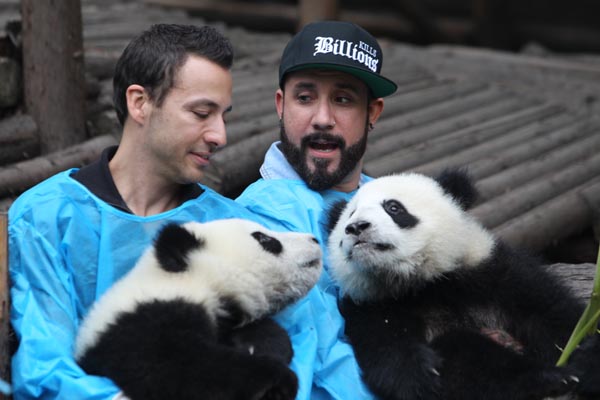 Backstreet Boys love China's pandas