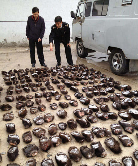 China Customs officials confiscate 213 bear paws