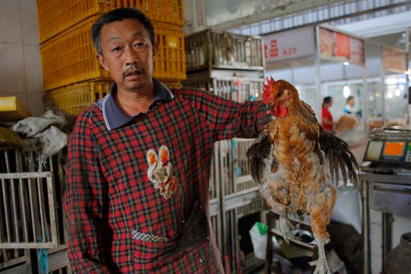 Live poultry industry slowly picking up