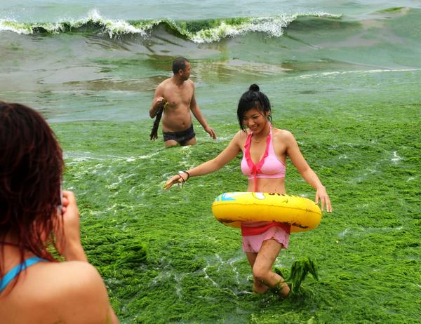 Qingdao's algae problem fades after intense cleanup
