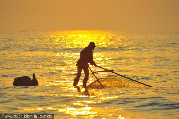 Fisherman stilted against power of the sea
