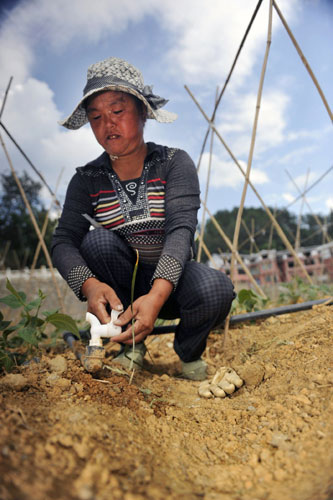 Drought takes toll in SW China