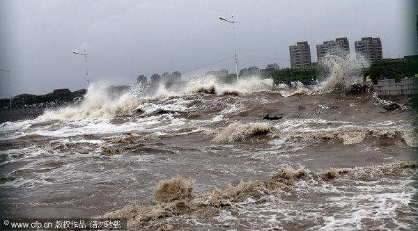 Tide spectators rushed down amid typhoon
