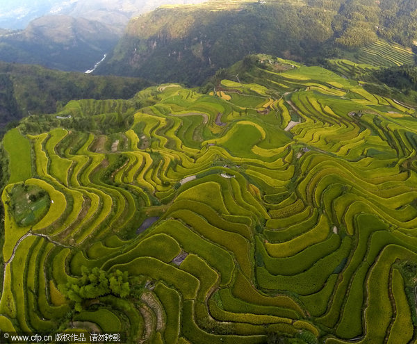 Fields form visual masterpiece in E China