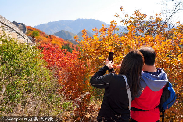 Peak season for fall foliage in Beijing