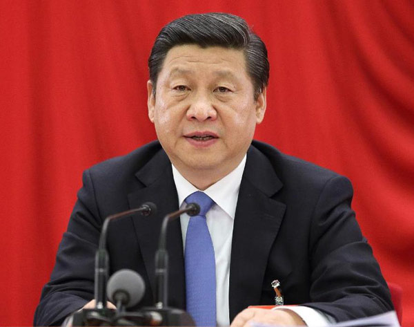 Xi explains China's reform plan