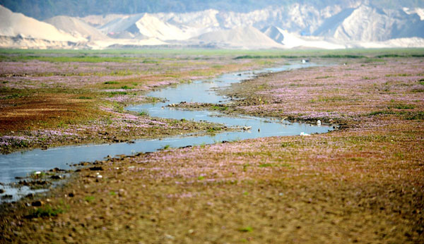 Drought turns lake into grassland