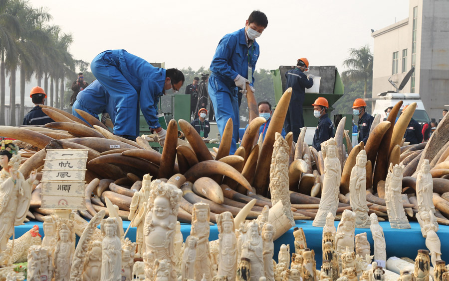 China destroys 6.1 tons of seized ivory