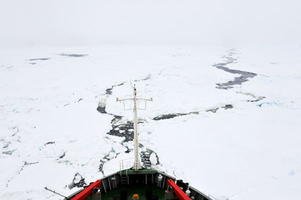 China's icebreaker <EM>Xuelong</EM> heads to open water