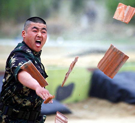 PLA brigade abolishes popular stunts
