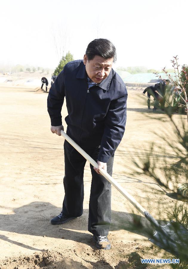 Xi calls for persistent afforestation efforts