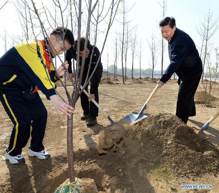 Xi calls for persistent afforestation efforts
