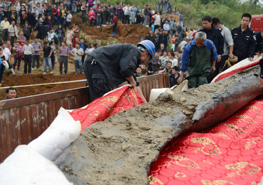 4,000-year-old ebony tree unearthed in E China