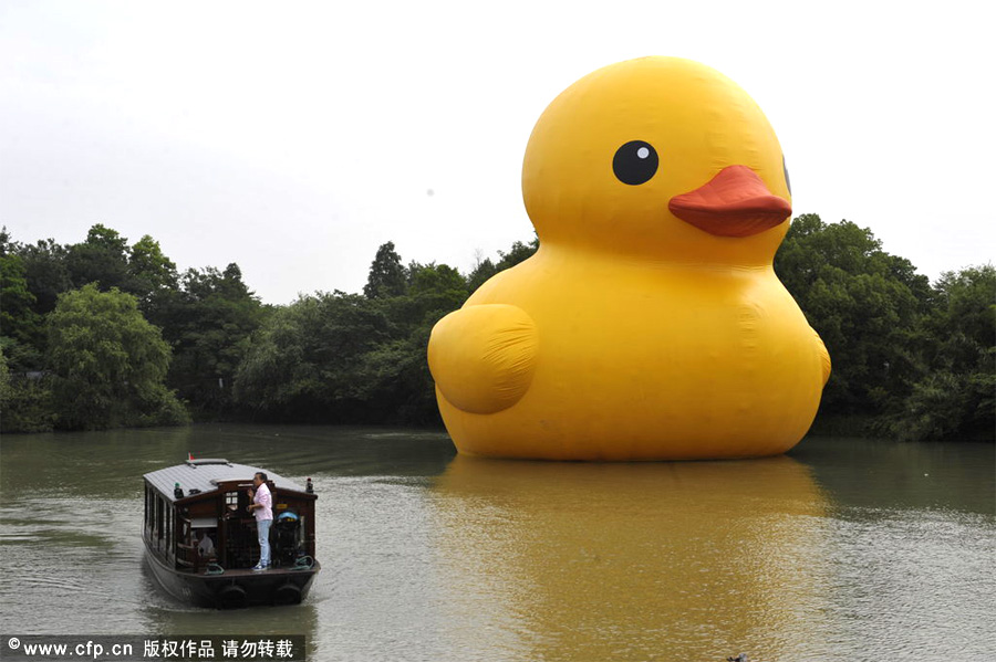 Giant Rubber Duck waits in wings in Hangzhou