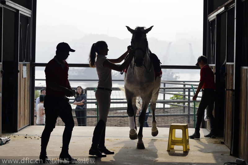 A galloping success in SW China’s Chongqing