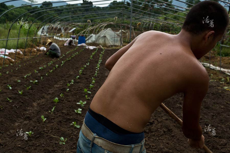 Young men farm for the future