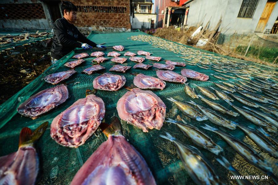Harvest time of fish starts in E China's Zhejiang