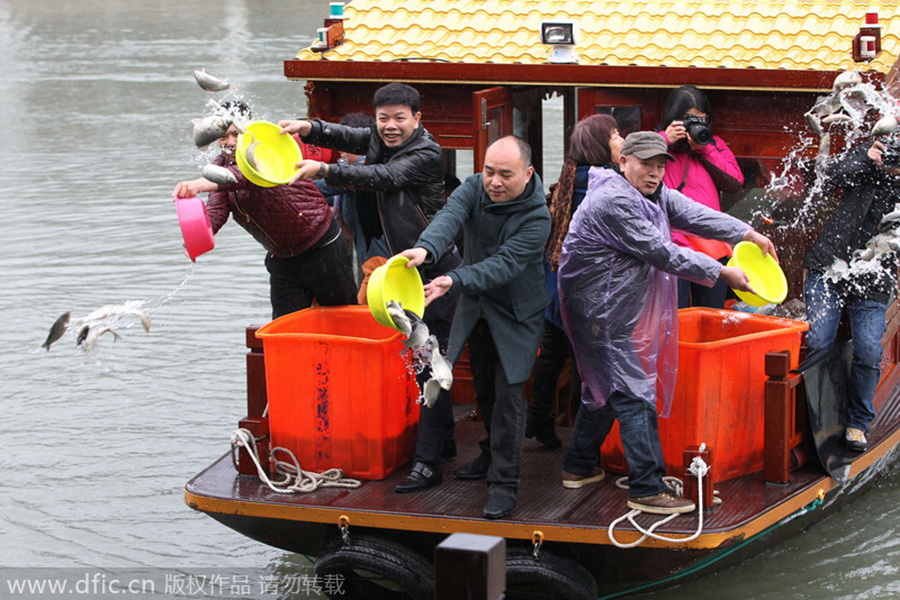Fish freed for good luck in Wenzhou