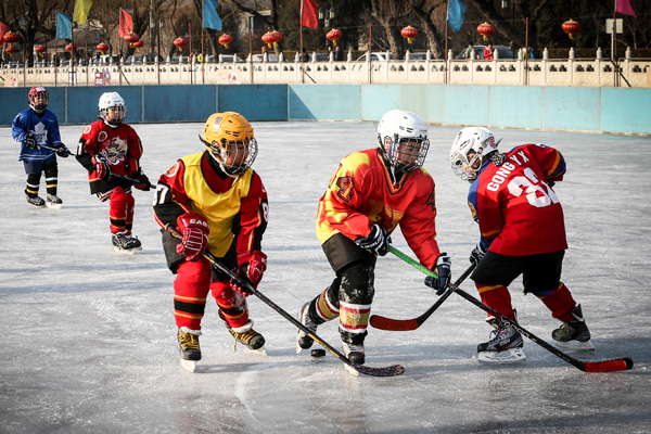 Youth help to halt ice hockey's slide