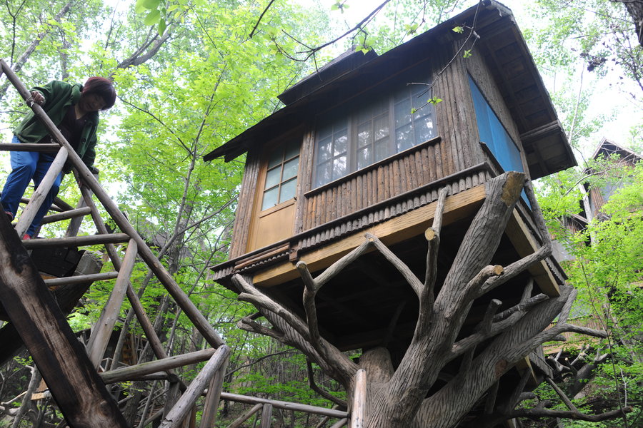 Tree house hotel in Jinan