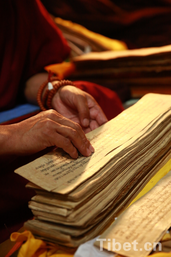 A monk's story in Potala Palace