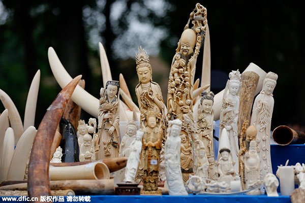 Global smuggling ring busted, $4m wildlife parts seized