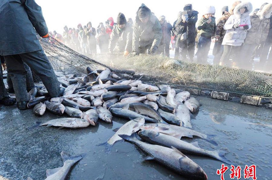 First fish at Chagan Lake's winter fishing earns $121,646