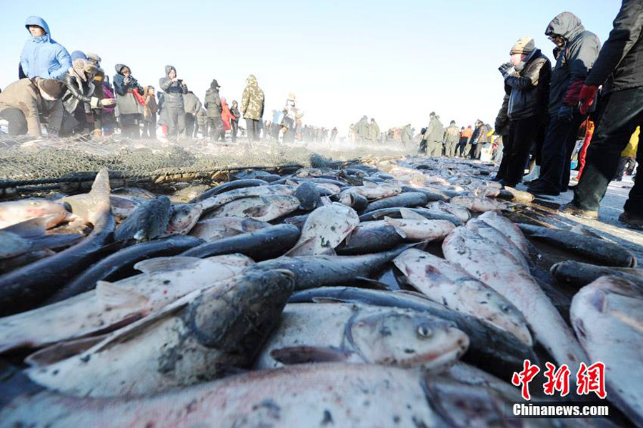 First fish at Chagan Lake's winter fishing earns $121,646