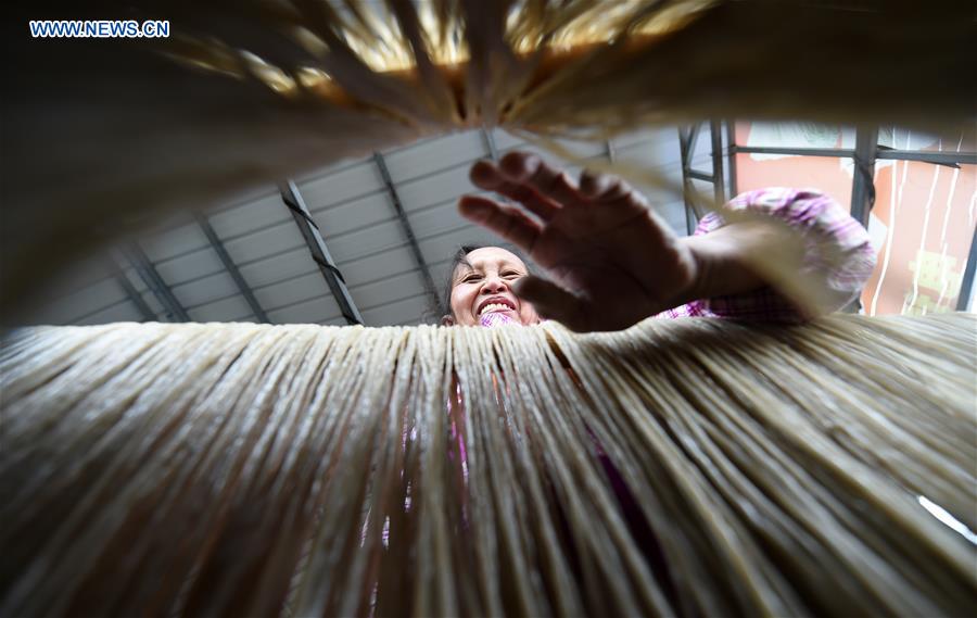 Villagers make sweet potato vermicelli in China's Guangxi