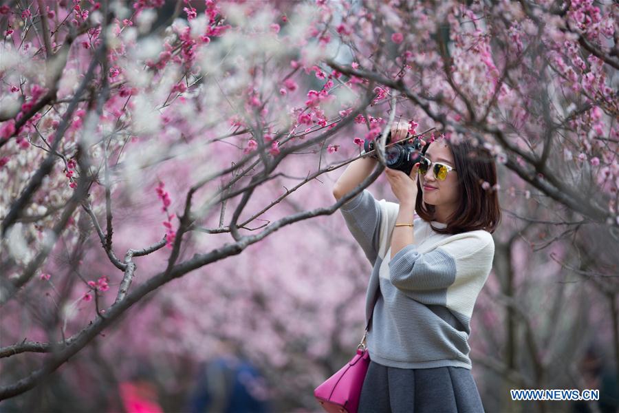 People view plum blossoms at scenic area in E China