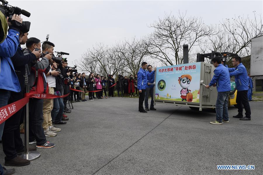 Two giant pandas leave China for new home in ROK