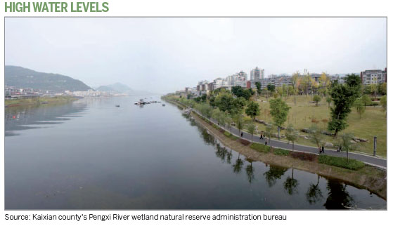 Tree-planting project cleans Yangtze's branches