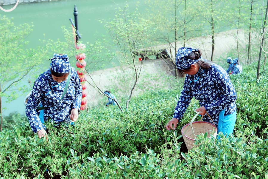 Millions visit charming forested area in East China