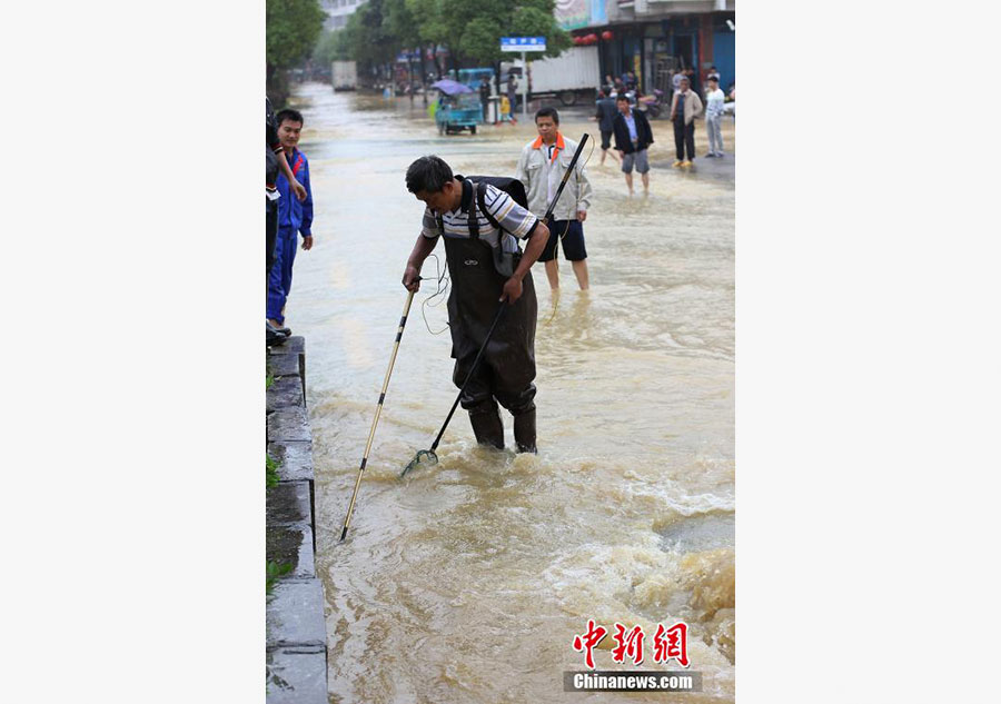 Residents net fish on flooded road in C China